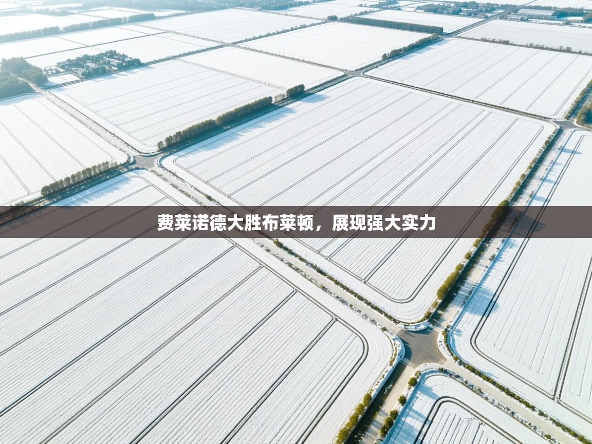 费莱诺德大胜布莱顿，展现强大实力  第2张