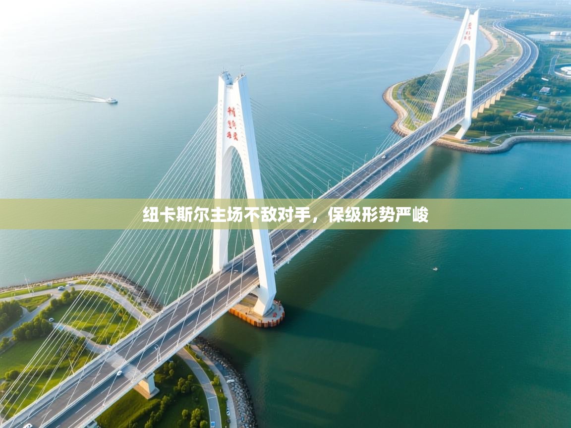 纽卡斯尔主场不敌对手，保级形势严峻