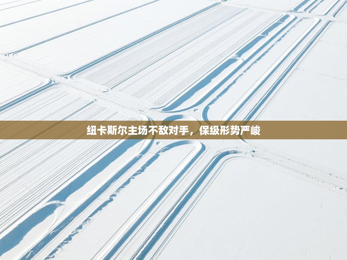 纽卡斯尔主场不敌对手，保级形势严峻  第2张