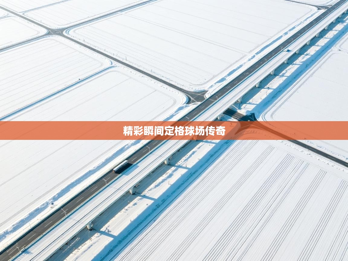 精彩瞬间定格球场传奇