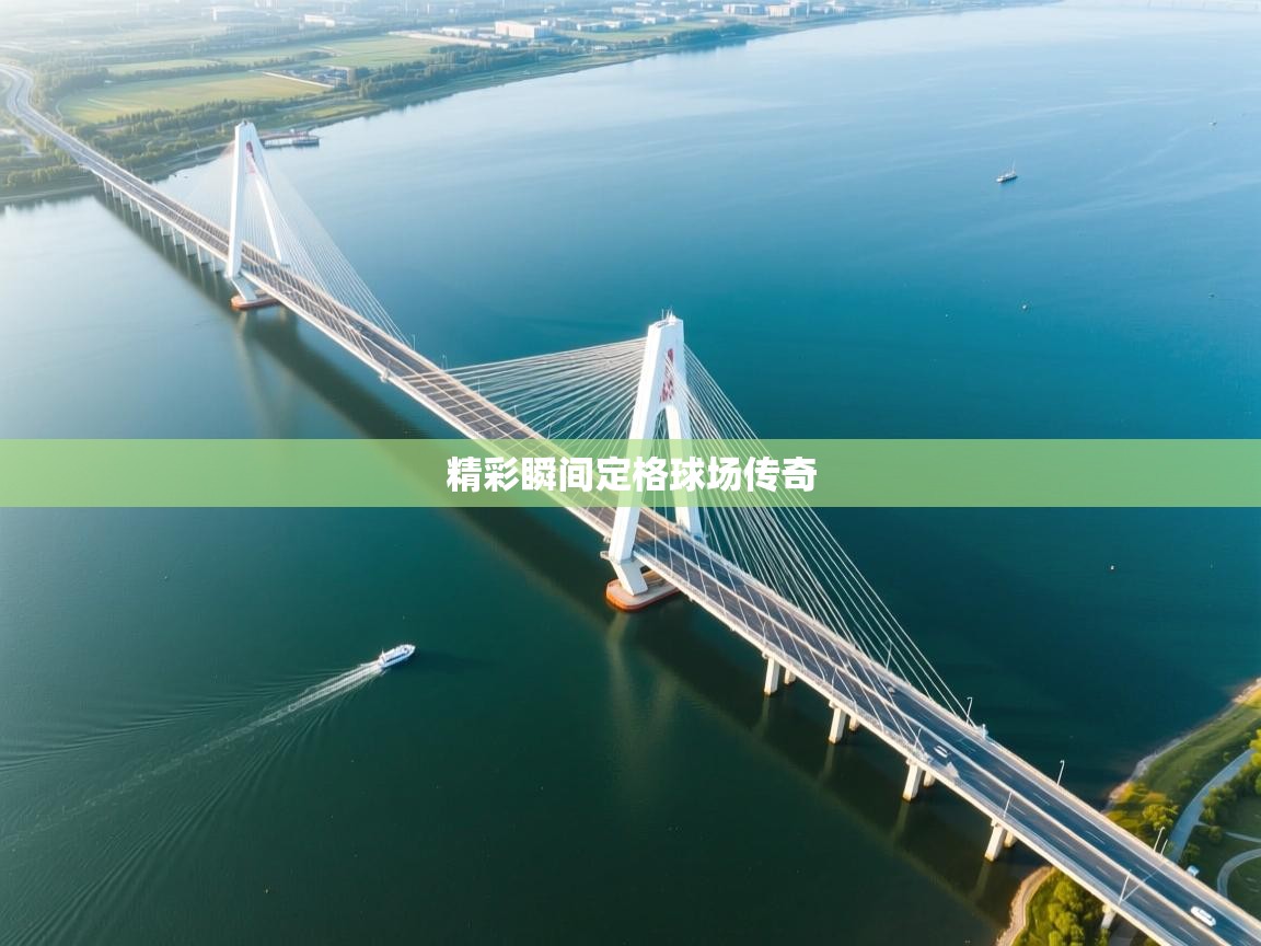 精彩瞬间定格球场传奇 第2张